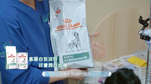 皇家宠物食品与《宠物医生2》携手 守护毛孩健康，以专业与关爱治愈回归