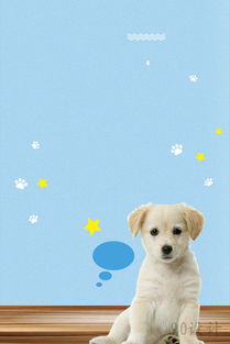 高清小清新宠物营养狗粮海报素材下载