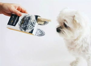 宠物食品包装设计欣赏 艺术与功能的完美融合